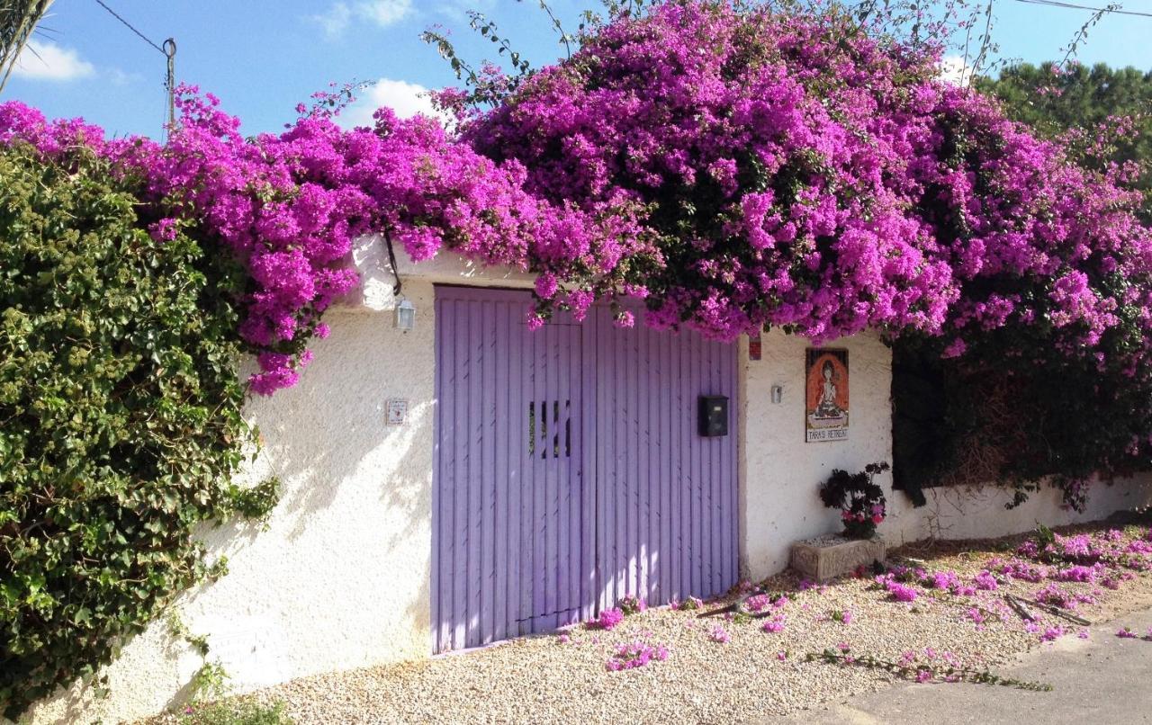 מלון קרטחנה Tara Casa מראה חיצוני תמונה