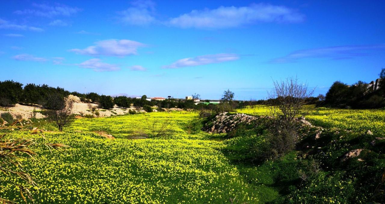 מלון קרטחנה Tara Casa מראה חיצוני תמונה